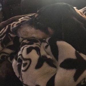 Meet your Posher, Scott